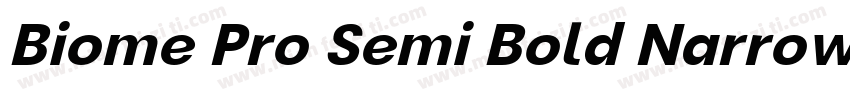 Biome Pro Semi Bold Narrow Itali字体转换